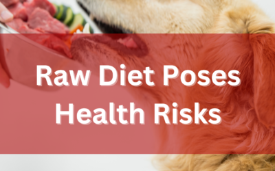 Raw Diet Poses Health Risks