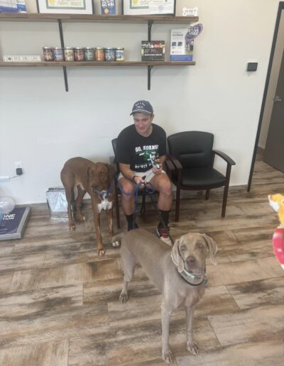 Man sits in the clinic chairs while two dogs stand beside him