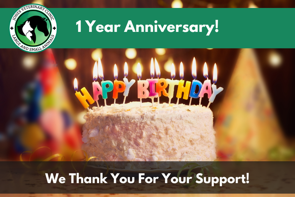 Jones Veterinary Clinic Celebrates 1 year Anniversary