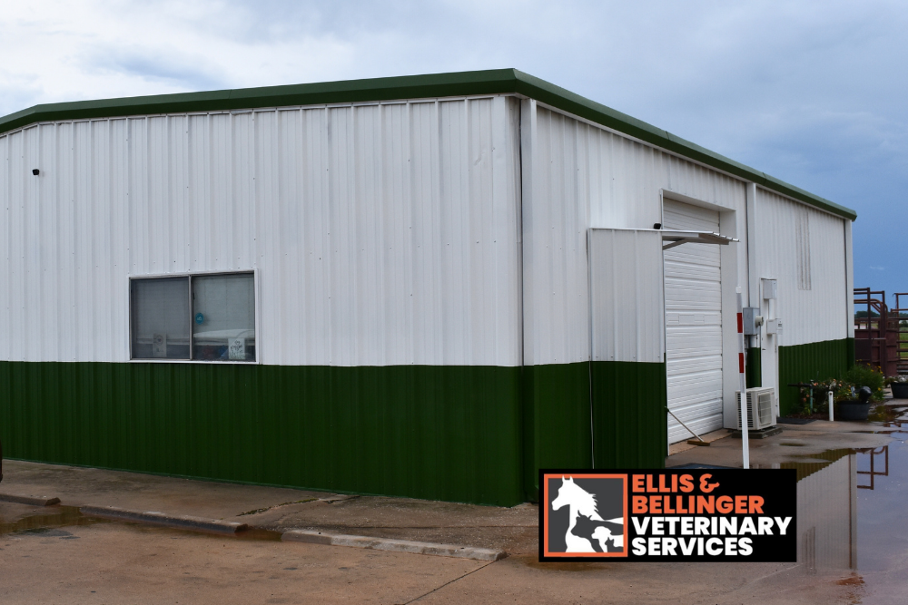 Ellis & Bellinger outside of building on a rainy day.