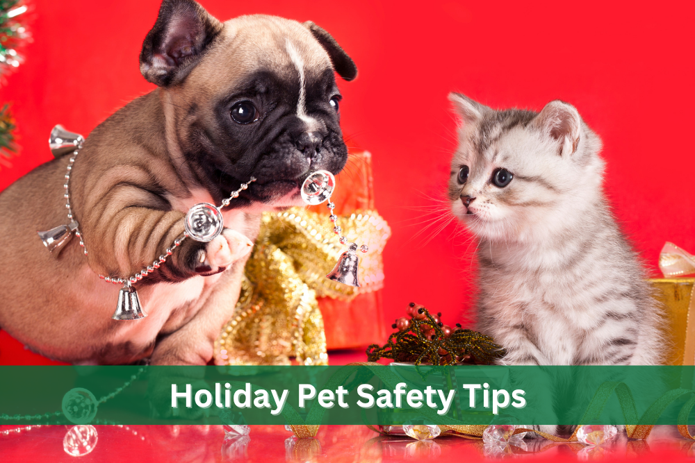 Puppy chewing on holiday decorations while a kitten watches.