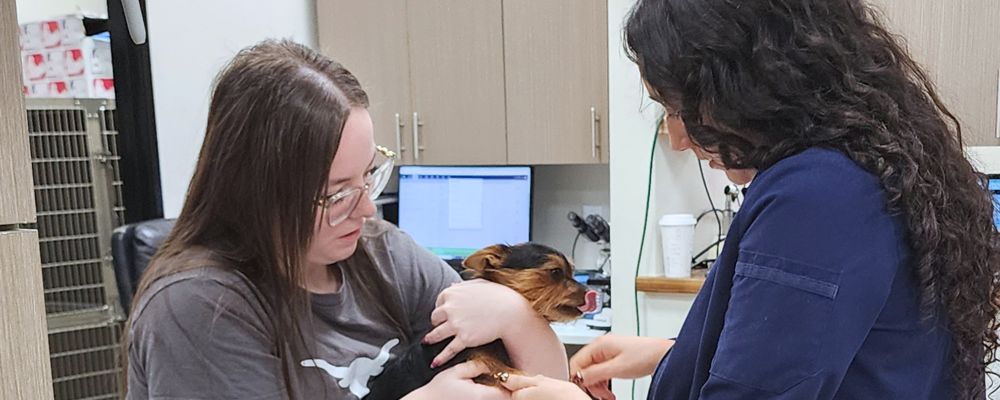 Two of Jones Veterinary Clinic Staff members holding a dog on the exam table.