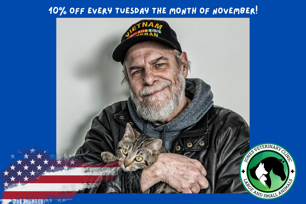 Military man wearing a veteran hat holds cat in arms and smiles.
