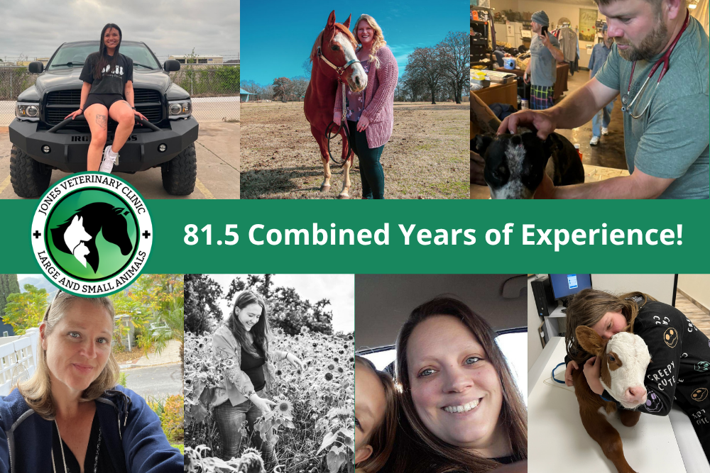 Image collage of Jones Vet Clinic Staff