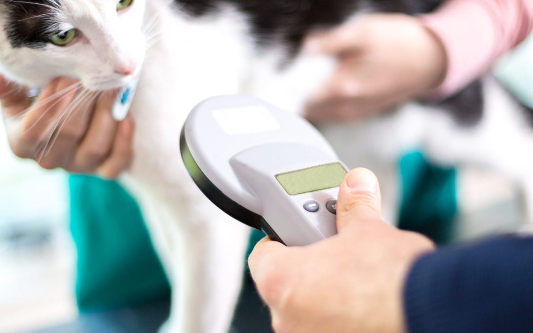 The Complete Guide to Microchipping Your Pet: A Safe and Responsible Choice